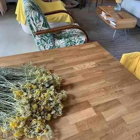 Maison Corse En Pierre Calvi (Corsica)